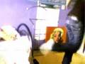 [J]umping-_-[R]ox2