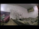 corby session corby session
