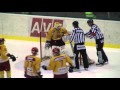 SK HS Třebíč - HC Dukla Jihlava  2:1 sn