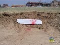 zombie-game-airsoft.html