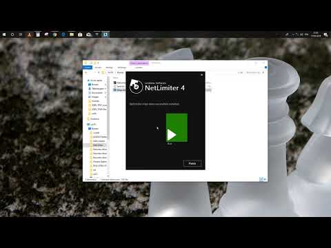 NetLimiter Pro gratuit
