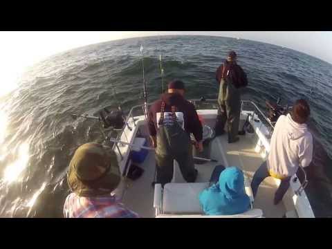 North Cal Sportfishing - Salmon Fishing Bodega Bay, California july 4, 2013 On