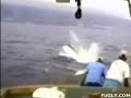 marlin pulls fisherman marlin pulls fisherman