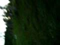 videos de sitio taleco 1