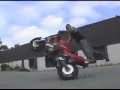 Keepin It Real Detroit Style A small video of AOB