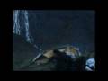scotland.avi