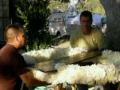 Public Wake Expected For Michael Jackson