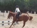 Orianne Et Oman CSO F�te Du Club E3