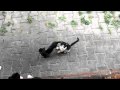 http://www.youtube.com/embed/fZqVQlWXmT4?&rel=0