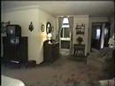 7182 Wooded Lake Dr.