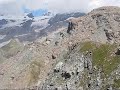 vista dal Palon Di rezy