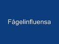 Jag ha' gjort de' med en måsva' och laga' med en gåsmen vårt hönshus, det var låst,kot kot po-teetJag hadd' samlag med en gökden var världens bästa pökåt sen opp den i mitt kökkvitt kvitt kukkuuSen så pippa' jag en strutsde' va' världens bästa skjutsfast den sket på mej, den smuts--i-ga- tipp-anSen så påka' jag en hökgör nog int' nåt nytt försöksnart så är jag ändå död!Refräng:Jag har fått fååågel-in-fluensaJag har fått smiittan aaav en svaaanAv feber paaannan min nu glänserMen hej, sånt händer -- ser man på fan!Fågelstjärt, det smakar gotthålet är nog lite småttde' e' pilin min ocksåtjo hej, kvack kvackBruka' vara med en hästfåglar är nog ändå bästmen sen fick ja' fågel-pesthost host att-tjoo!Ett tag var jag med en hundmen jag tröttna' på en stundankans stjärt e' mjuk och rund!Oj oj huh huh!Vissa föredrar en kode e' tråkigt sku' jag tromed en kråka vill jag bo!Krax krax attjoo!Refräng:Jag har fått fååågel-in-fluensaJag har fått smiittan aaav en svaaanAv feber paaannan min nu glänserMen hej, sånt händer -- ser man på fan!Jag gör jättesköna hyssmed en duva va' jag nyssden va' jättebra å' kyss!puss puss pang pangOm en uggla jag sku' fåsku' jag genast sätta påså att pilin sku' bli blåhuh huh hoo hooMänskor vill jag aldrig hapapegojor duger brafjädrar ska min flickvän hadå känns det bra!Vill du ha min undulatkom ihåg att ge den matpilikorven på ett fat!håh håå ja jaRefräng:Jag har fått fååågel-in-fluensaJag har fått smiittan aaav en svaaanAv feber paaannan min nu glänserMen hej, sånt händer -- ser man på fan!Livet e' nog aldrig tristnär man e' en zoofilistkvinnor, dom vill komma sistnej tack, fy fan!Fåglar, dom e' mera kulut på gården i mitt skjulger jag dom ett redigt pulhåll-still-för-fan!Flickor bruka' säga nejskratta' åt min lilla grejåt en gås jag sade 
