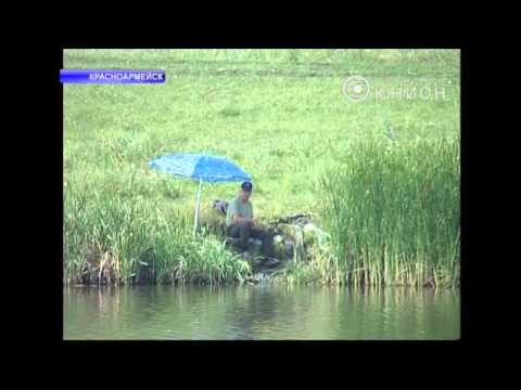 наказание за кастинговую сеть наказание за кастинговую сеть