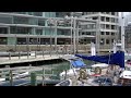 Wellington accommodation: Chaffers Dock Level 2.m4v