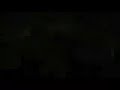 Tree`s in love - erotic vid