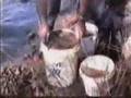 GOLD PROSPECTING PANNING Rotapan.com Gold panning machine