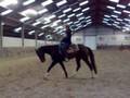 videos de Willeke & Whisper