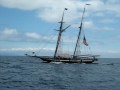 videos de Catalina Cruising with Tall Ships