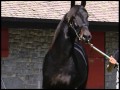 Red River Hanover for UTUBE:YouTube������=0��