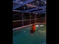 Click here to watch this video Jeff Gravity LNS 2