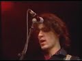 Dutch best band in history - The Fatal Flowers - play 