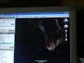 curiosidades google earth