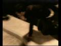 videos de Dani goes for a swim