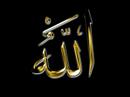 Talib al Habib: Tasbih -- the Seedlings of Paradise