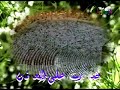 ISLAMIC ANASHEED \"Hujjaj\" ISLAMIC ANASHEED \"Hujjaj\"