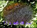 ISLAMIC ANASHEED Hujjaj