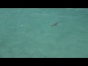 Maayafushi Maldives
