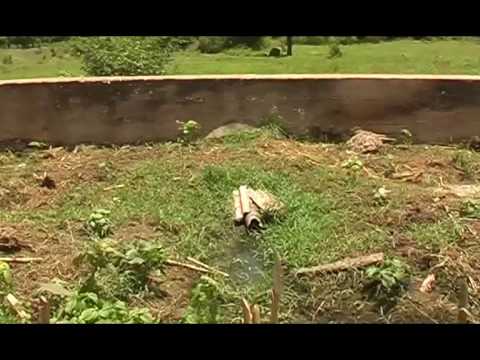 See video