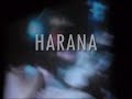 HARANA eraserheads reunion