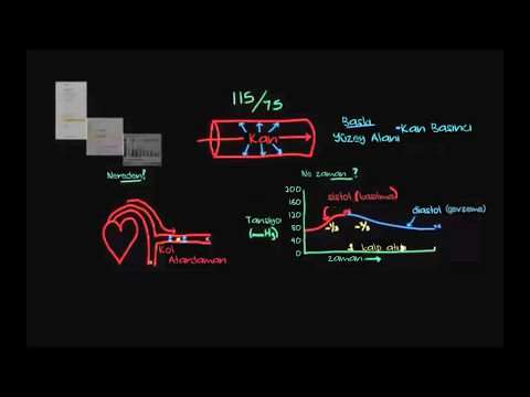 Khan Academy - Kan Basıncı (Tansiyon) Nedir? (Sağlık Bilgisi ve Tıp) (Dolaşım Sistemi Fizyolojisi) - 2014.04.09
