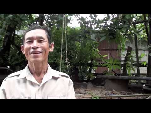 See video