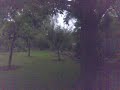 running up a tree and flipping ...wowowow
