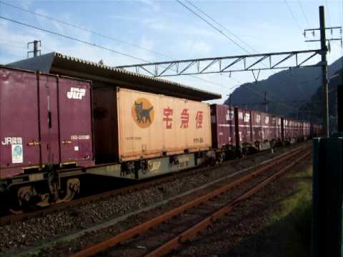 211系＋313系とEF66貨物　用宗駅にて