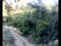 En Narcís amb l\ En Narcís amb l\