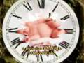 videos de Hino Distrital do Rotary.avi