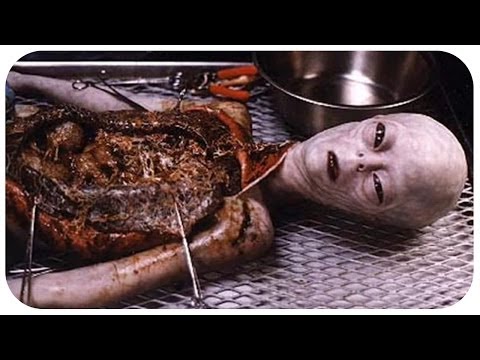 NSA Akten über echte Aliens? - Echtes Hoverboard! - Wegen Wii Controller erschossen!