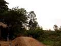 Freeride Limeira