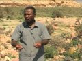 اكتشاف موقع أثري بجزيرة سقطرى اليمنية
