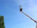 Redbull Gravity Challenge (Tortillas 9.81) - Napol