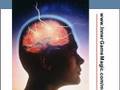 Free Mind Map Training