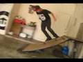tre flip fakie