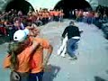 el pollo en accion