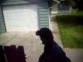 Attack of the wasps