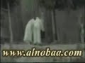 noba  سيد ابراهيم