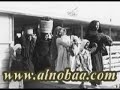 noba  سيد ابراهيم