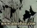 noba سيد ابراهيم